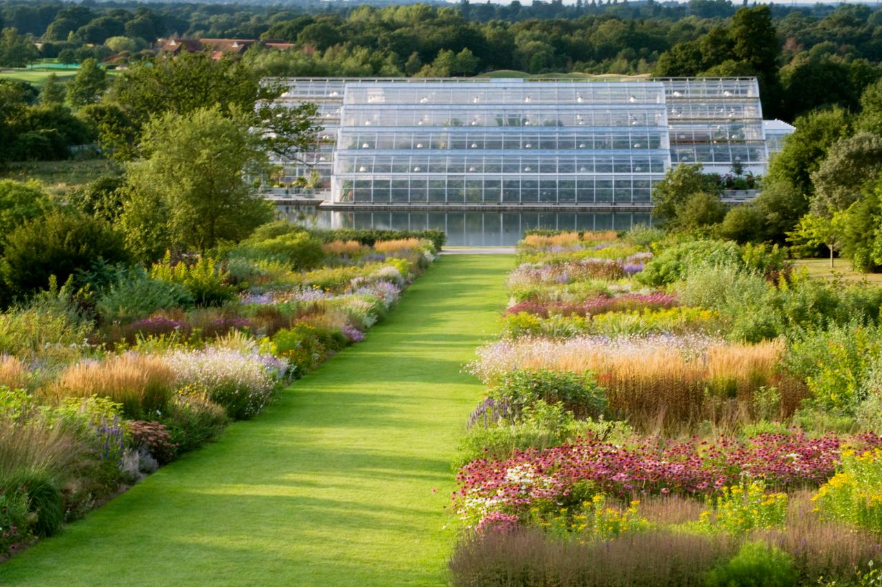 RHS Wisley Gardens, Surrey - Tue 20th Oct 2020