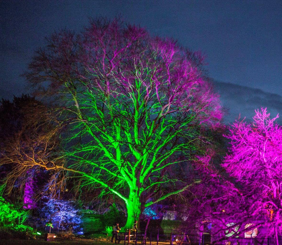 Leonardslee Garden Illuminations, West Sussex Thu 19th Dec 2019