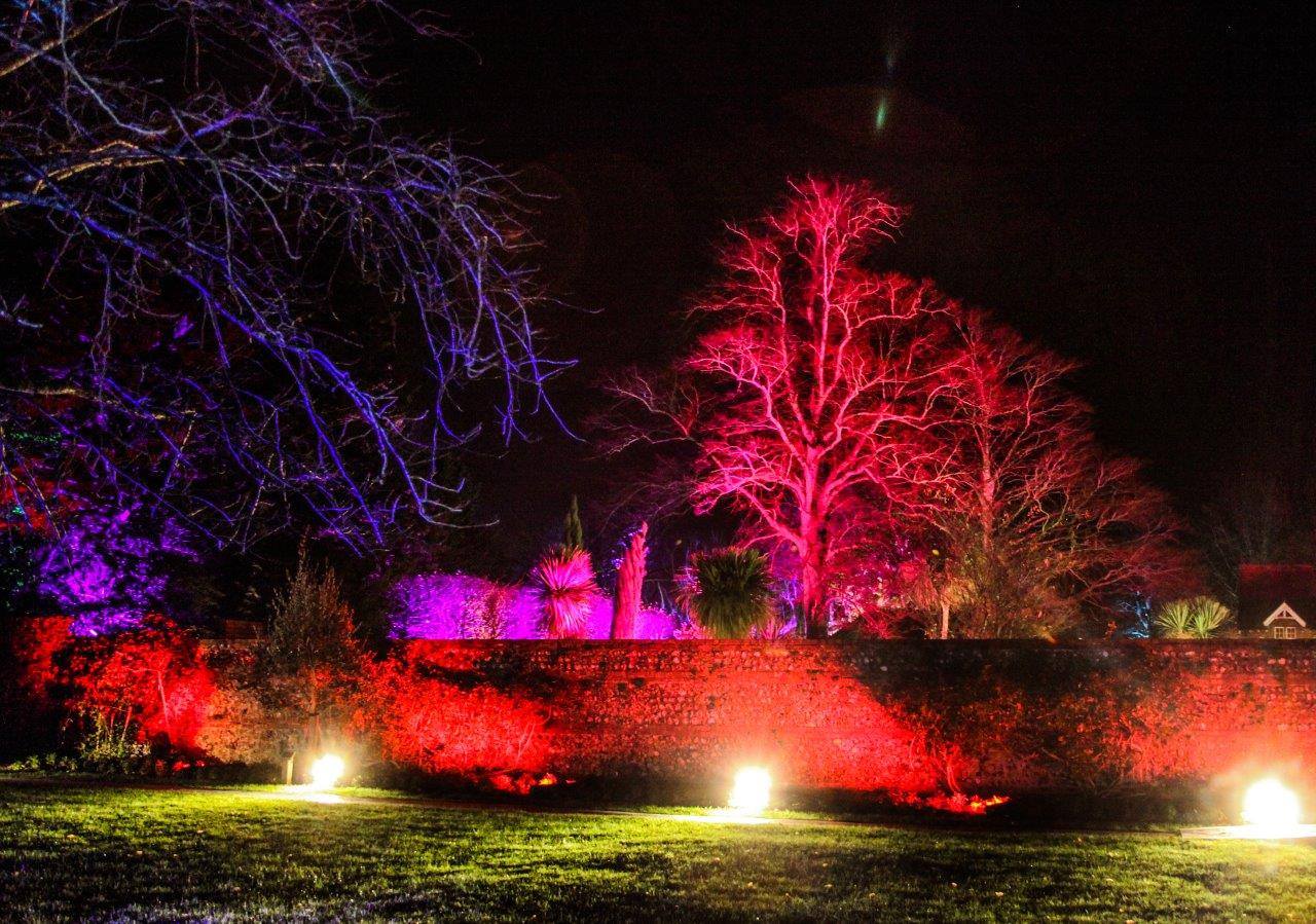 Leonardslee Garden Illuminations, West Sussex  - Thu 19th Dec 2019