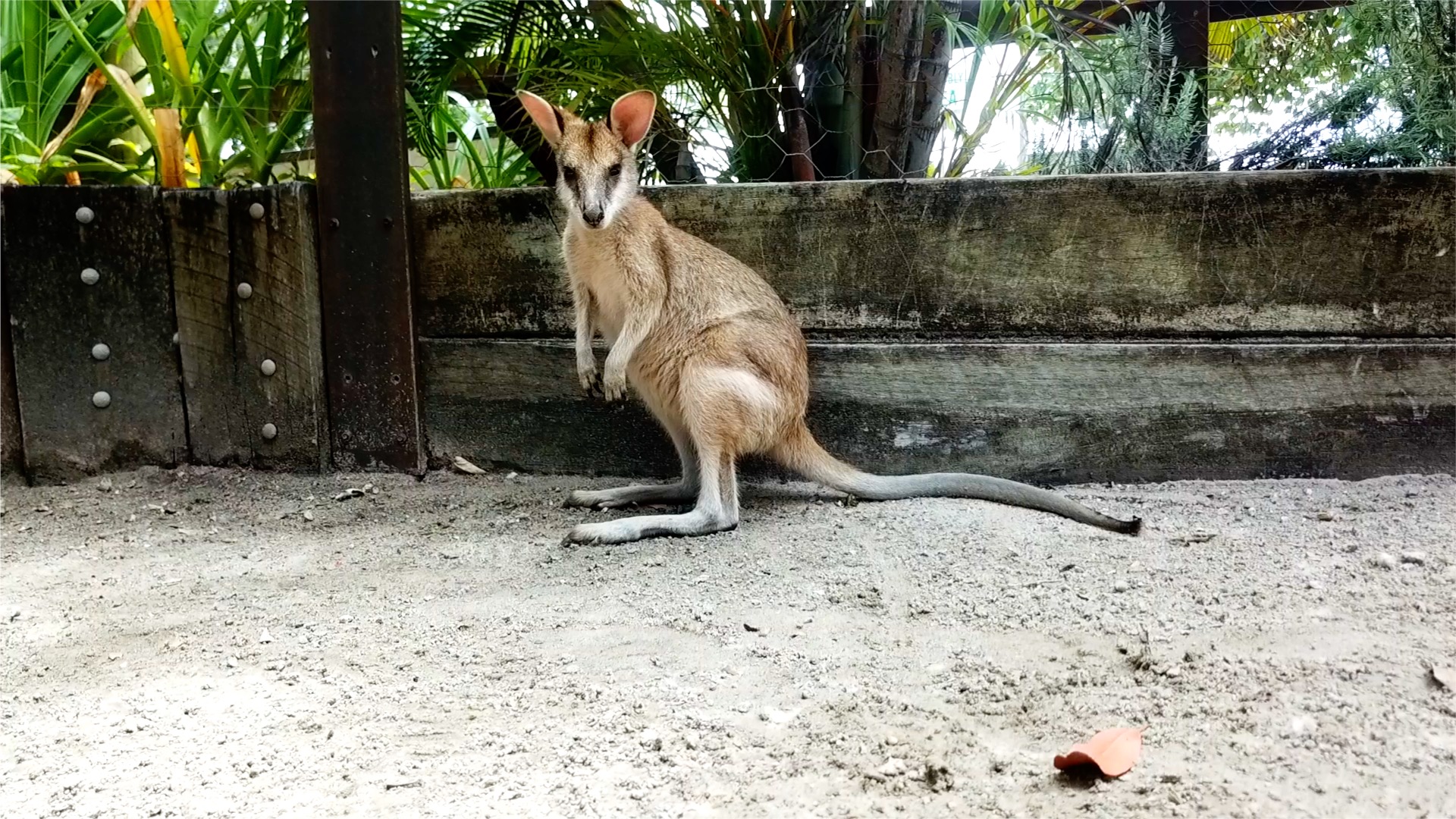 6) Ultimate Broadwater