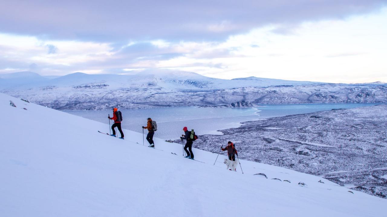 Guided Ski-touring