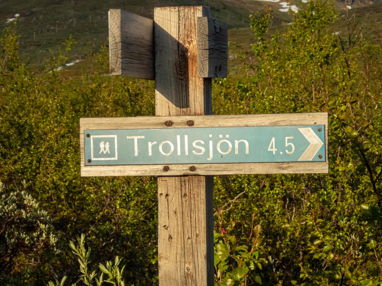 Guided hike to Trollsjön (Rissajaure)