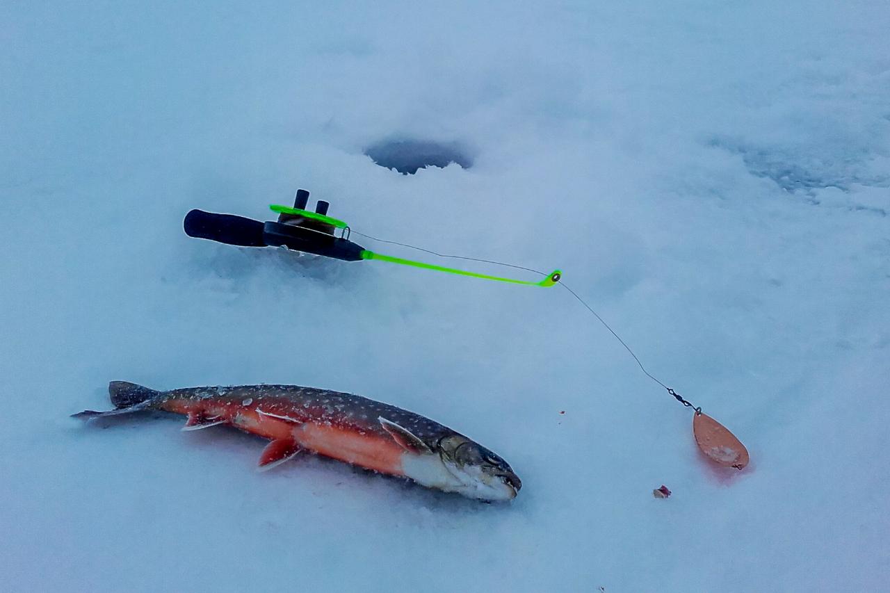 Arctic Ice Fishing