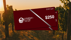 $250 Gift Card