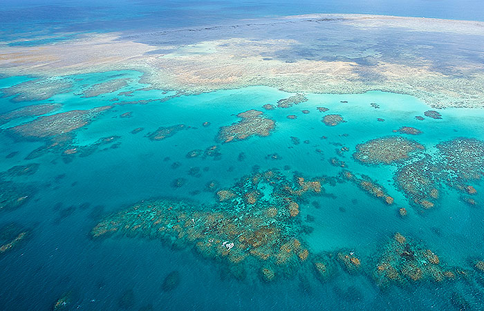 WOW Great Barrier Reef - 30mins - Heli Tours North Queensland Reservations