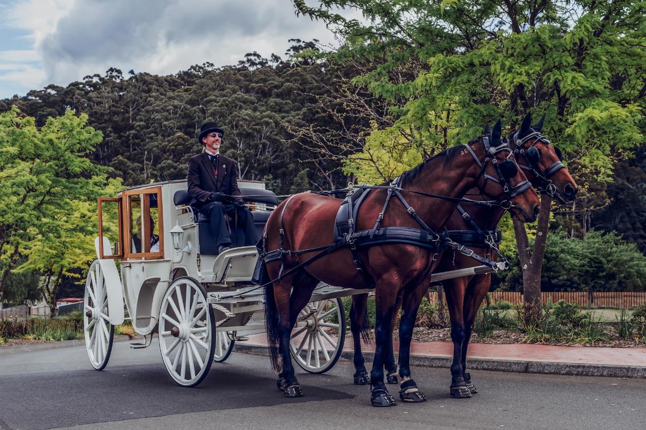 Castle Phoenix  Carriage Tours