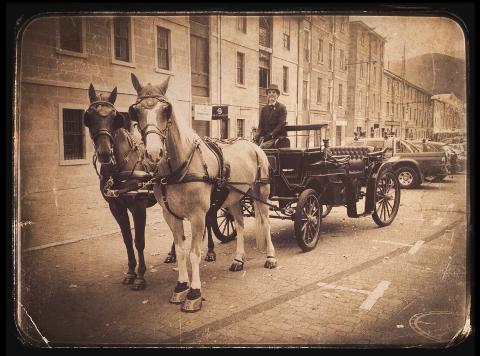 Horse drawn carriage ride around Hobart’s waterfront Tasmania Australia