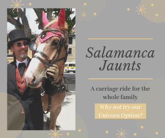 Salamanca Horse Carriage Ride Tasmania Australia