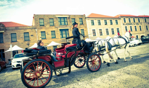 Horse drawn carriage ride around Hobart’s waterfront Tasmania Australia