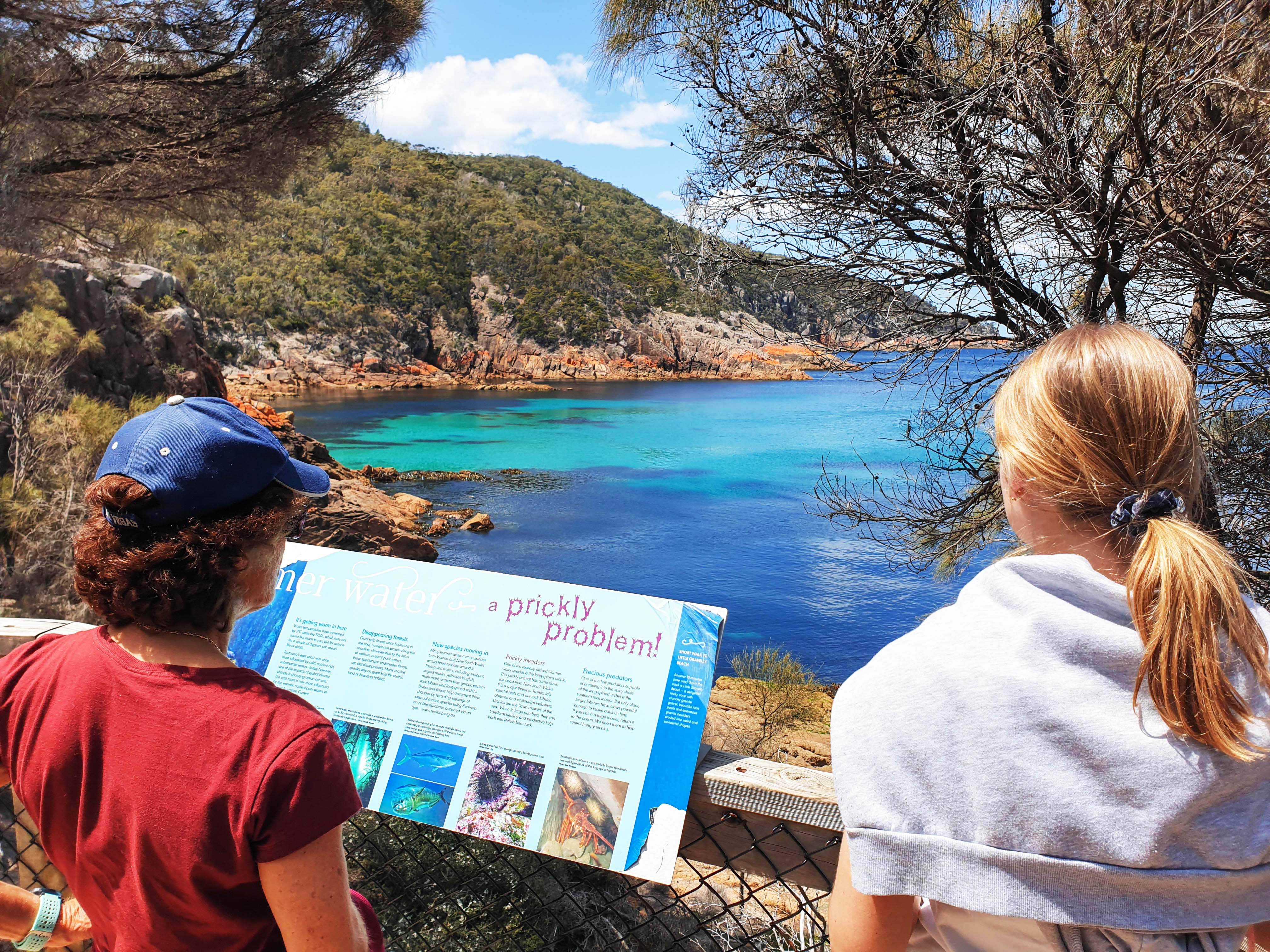 Wineglass Bay & Freycinet Day Tour from Hobart