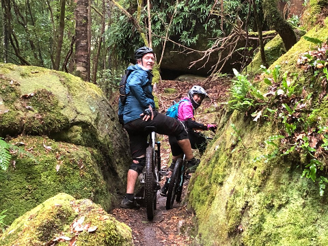 E-Bike Hire, Shuttle & Ride: Mt Wellington Summit Descent + North-South Track & More! (Self-guided, Skill Level: Intermediate) Tasmania Australia