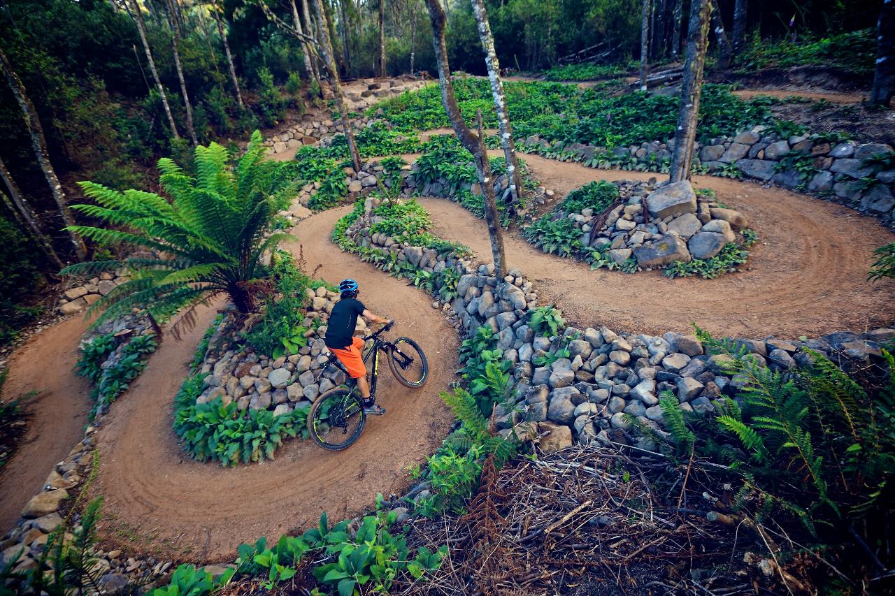 5 Day Tour - Hobart, Maydena, Derby (with trail guide)