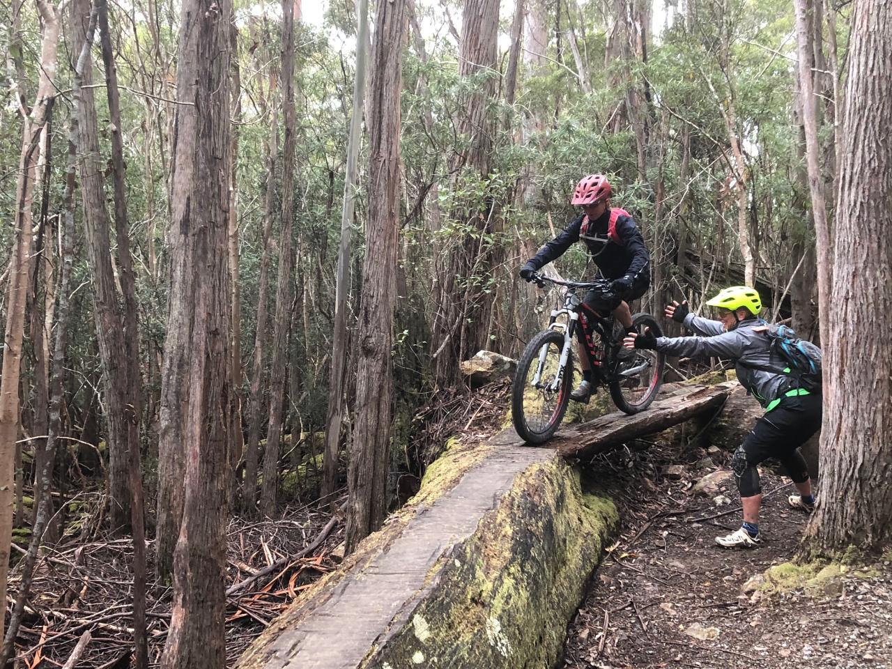 Mt. Wellington MTB Shuttle: Pick up from Glenorchy MTB Park and South Hobart.