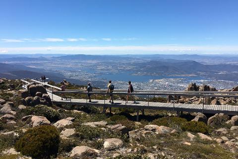 Bike Hire, Shuttle & Ride: Mt. Wellington Summit Descent + Rainforest Adventure Trail (Guided, Skill Level: Easy) Tasmania Australia