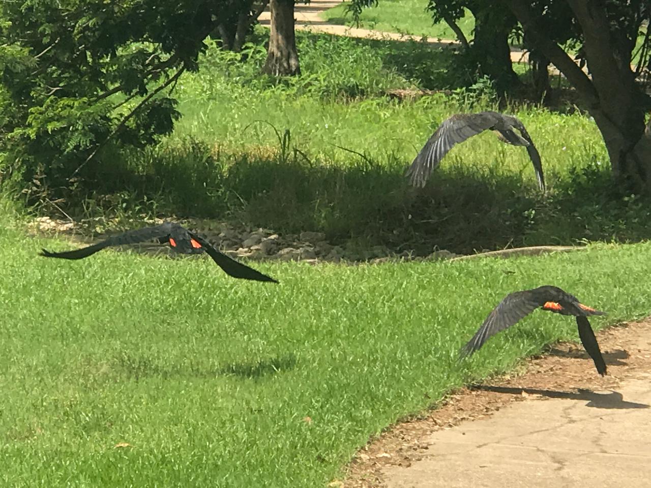 Private Tour - Regular Ride