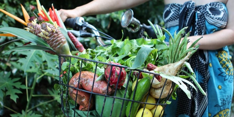 Pedal to Produce - Rapid Creek Markets