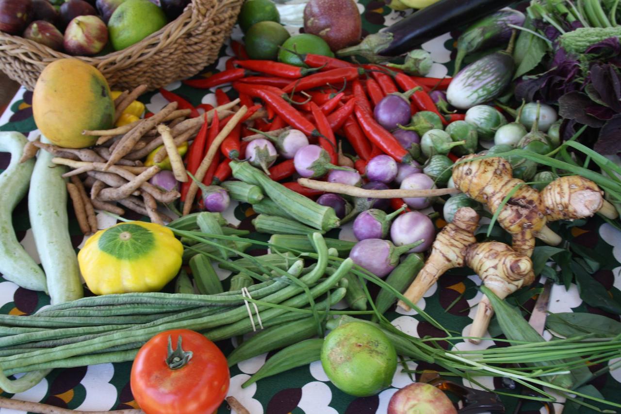 Pedal To Produce - Parap Markets