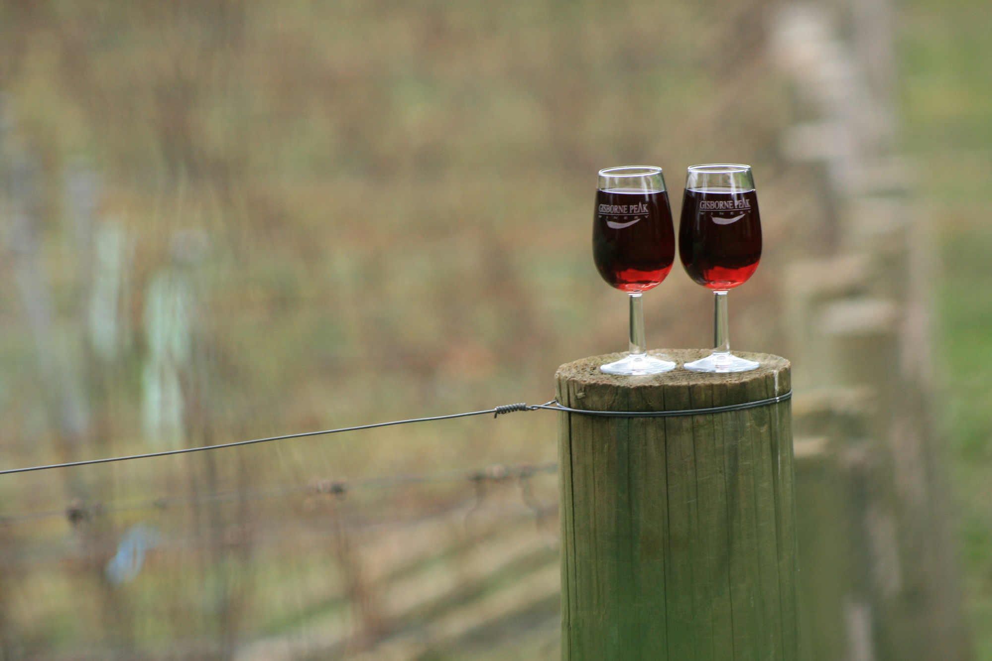 Winery Lunch for Two (RB)