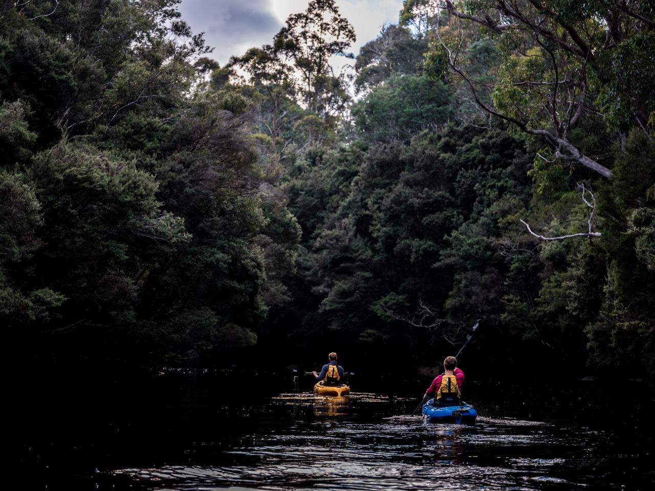 Family Lune River Morning Tour