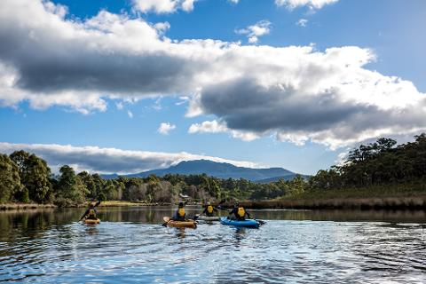 Lune River Twilight Kayak Tour Tasmania Australia