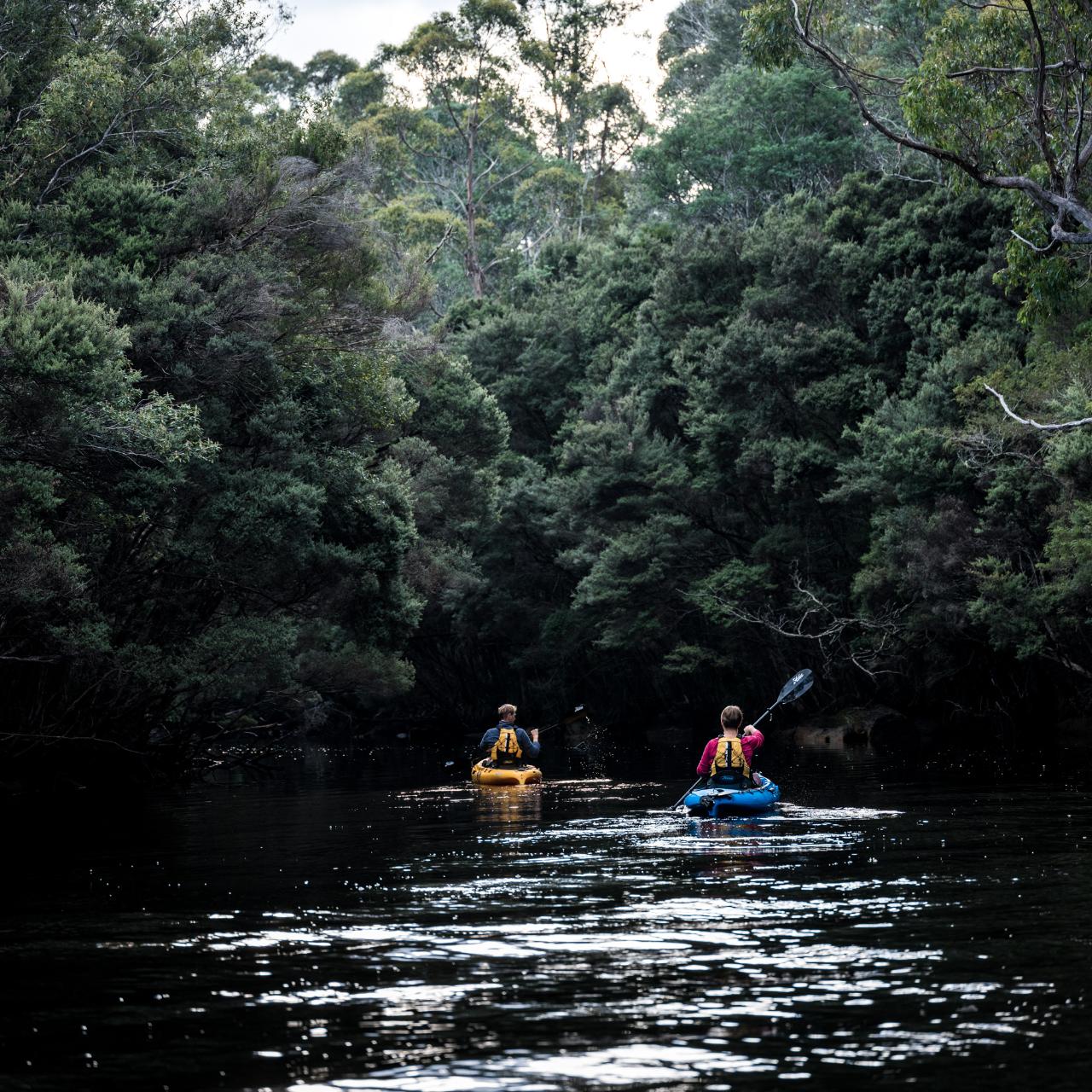 Lune River Morning Tour