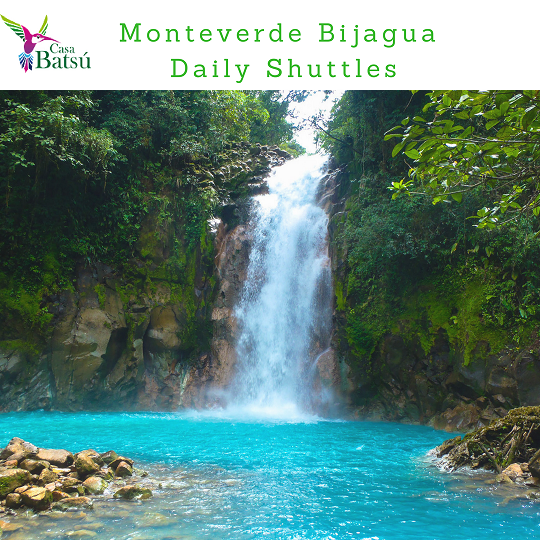 Private Transfer from Bijagua to ​Monteverde