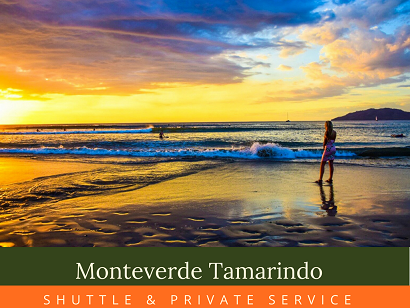 Shuttle Tamarindo Monteverde 