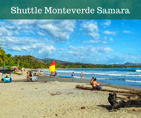 Shuttle from Playa Samara  to  Monteverde 
