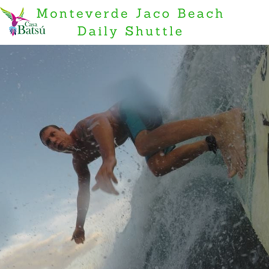 Monteverde to Jaco Shuttle Service 8:00 am