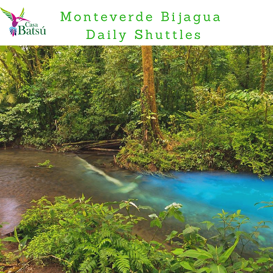 Shuttle from Bijagua to Monteverde