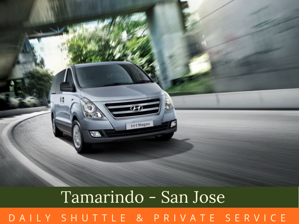 Tamarindo - San José Shuttle Service