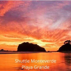 Shuttle from  Playa Grande to Monteverde