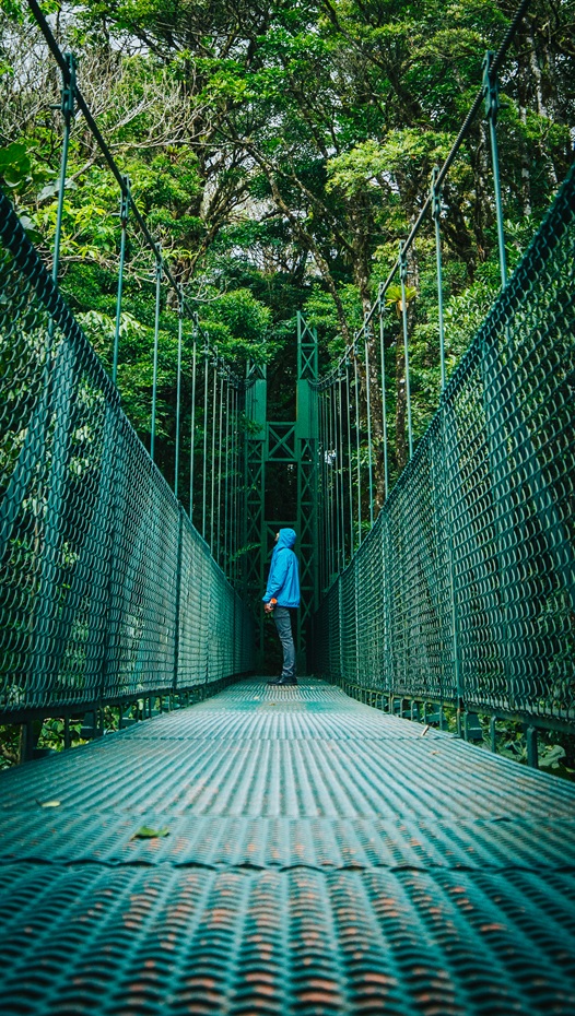 Selvatura Hanging Bridges – Above the Monteverde Cloud Forest