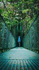 Selvatura Hanging Bridges – Above the Monteverde Cloud Forest