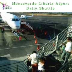 Monteverde Liberia Private  Airport Pick Up (or Droop Off)