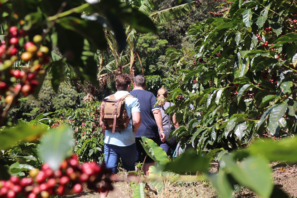 Authentic Costa Rican Flavors: Coffee, Chocolate & Cane Experience