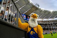 West Coast Eagles AFL Game Day Rooftop Experience 