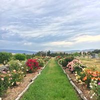 Premium Tour and Lunch Package for 2