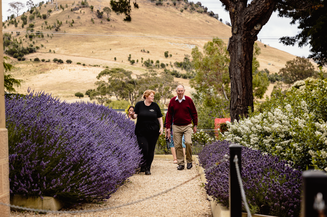 Whisky Distillery Tour and Guided Tasting