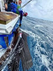 Full-Day Private Marlin Fishing Charter Moonshine