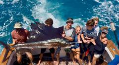 Hamilton Island private Full-Day 8-Hour Black Marlin/Sailfish Fishing Charter on Moonshine 
