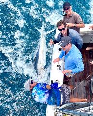 Full-Day Private Marlin Fishing Charter Moonshine
