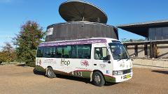 Central Pokolbin (Full Day) With Return Transfers (book if staying more than 500 meters to any stop)