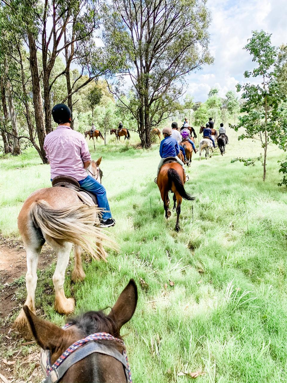 Horse Riding Hunter Valley