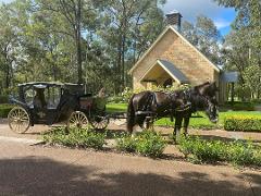 Romantic Couple's Private Horse and Carriage Wine Tour 