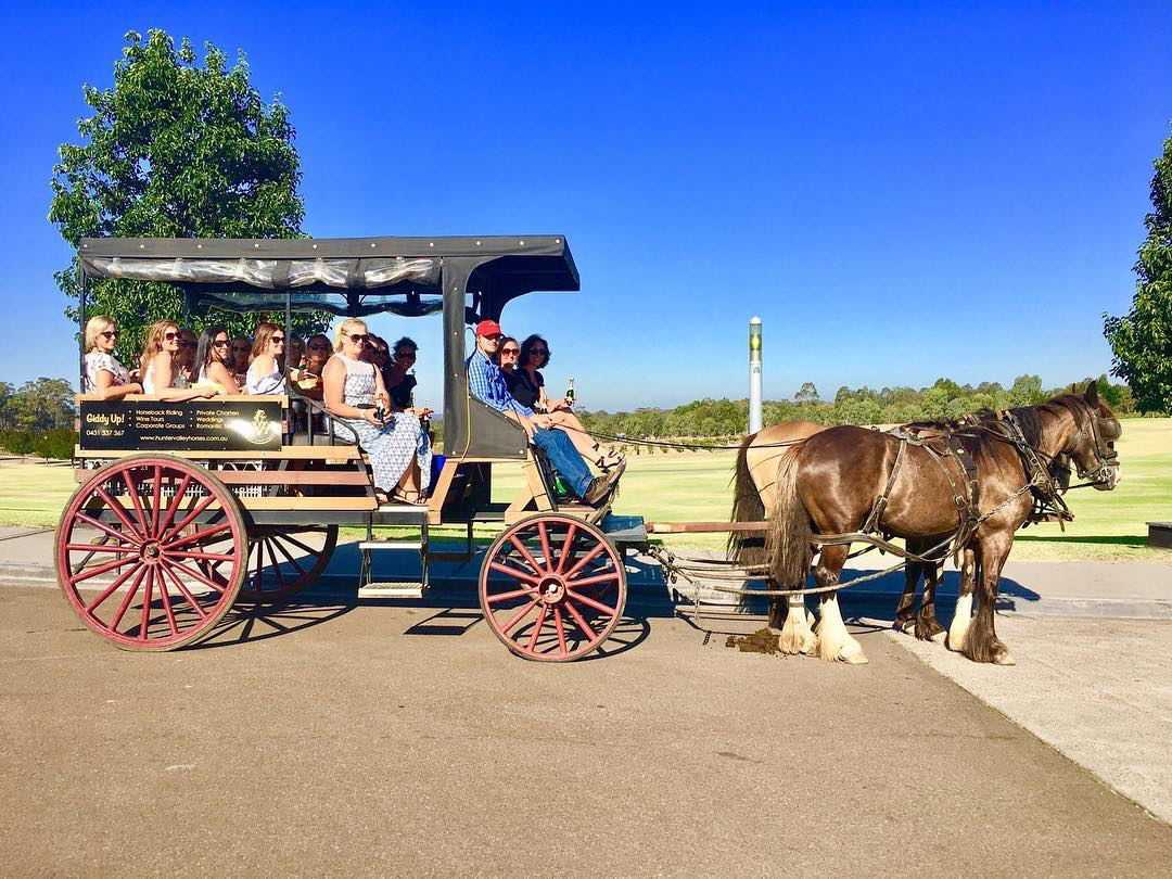 hunter valley wine tours horse and carriage