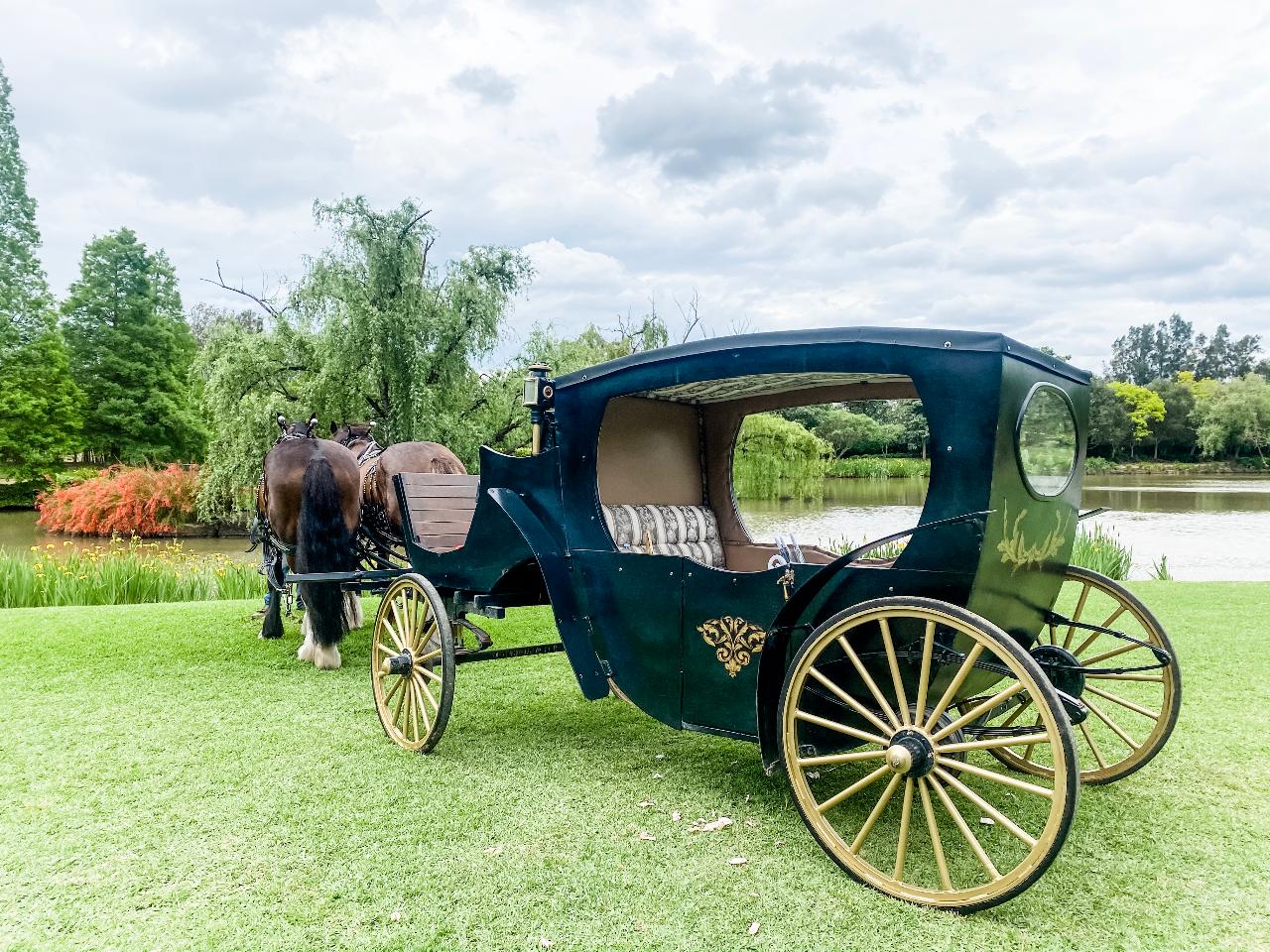 Half Day Private Cinderella Carriage Wine Tour 