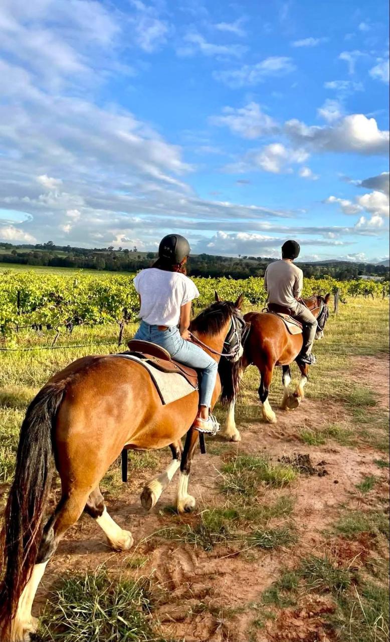 90-minute Horse Ride - Bushland Trail