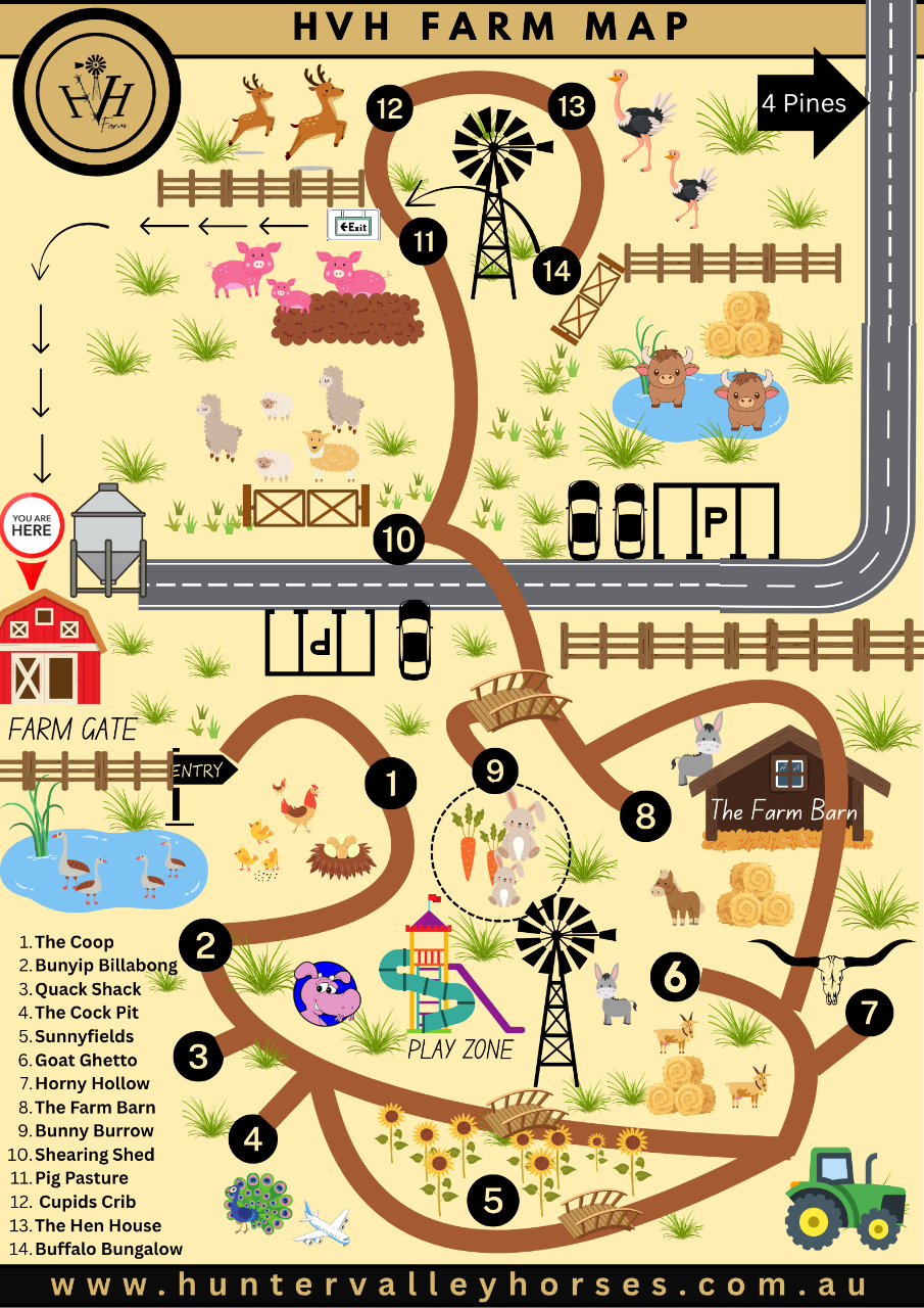Farm Feeding Experience - Self Guided Farm Tour