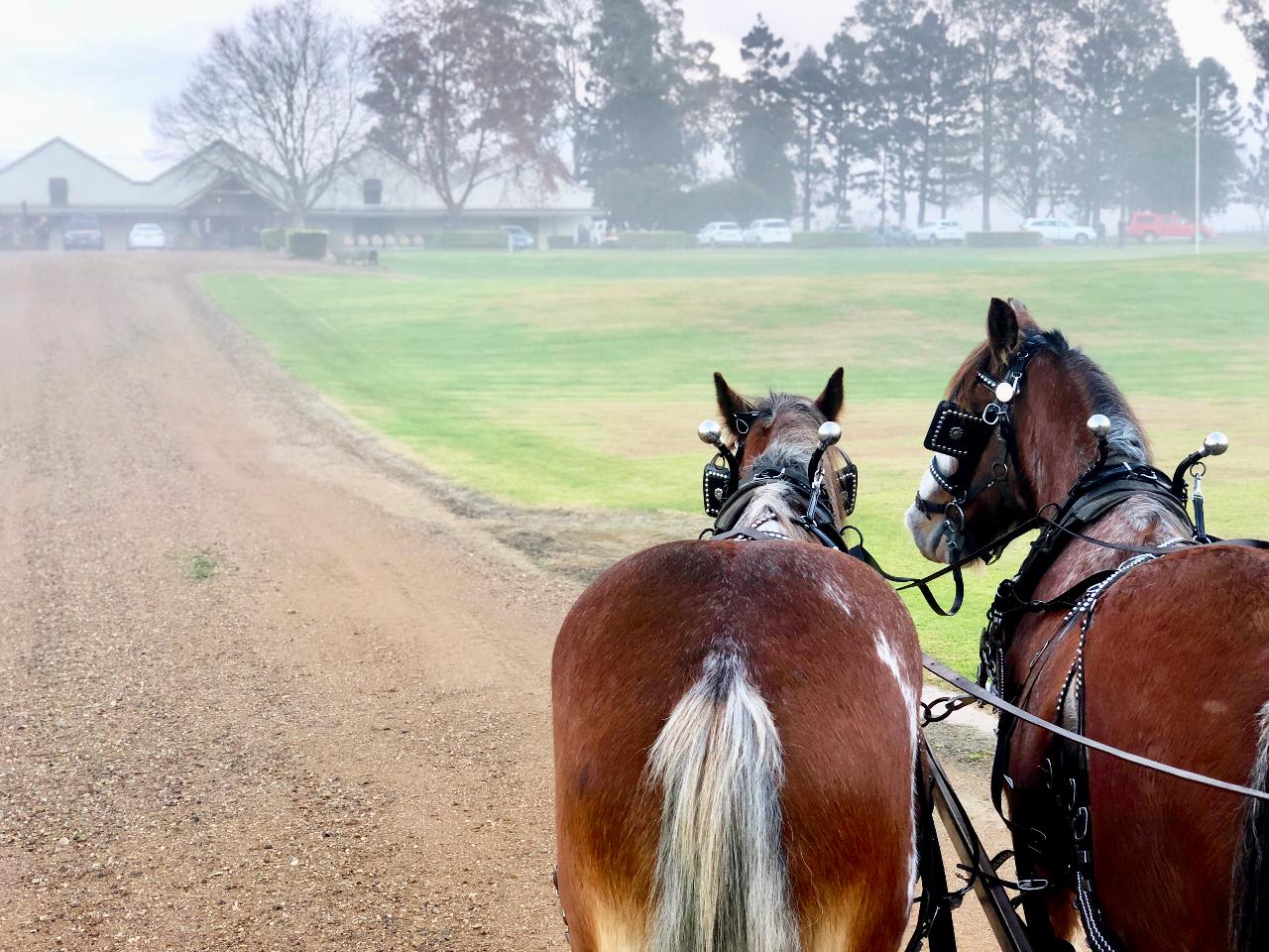 hunter valley wine tours horse and carriage